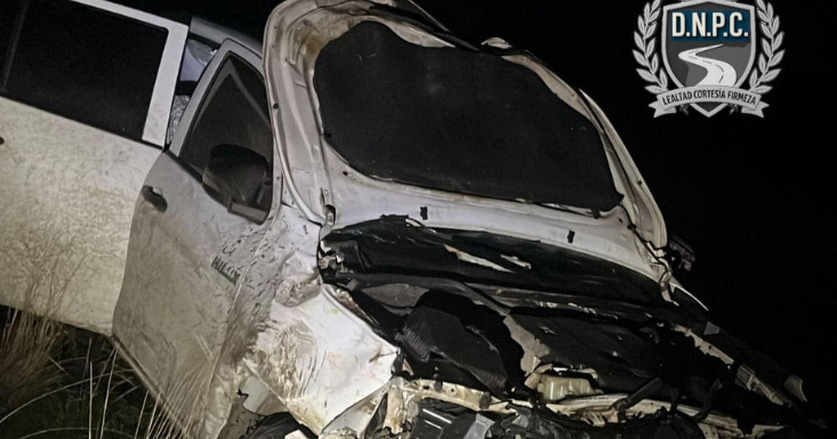 El conductor de la camioneta que embistió el auto en el que murió una familia en Florida fue detenido