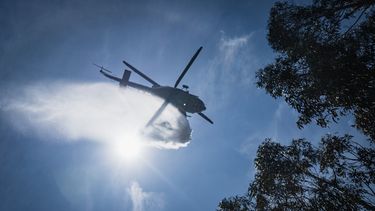 Sinae advierte por altísimo riesgo de incendios forestales ante la ola de calor