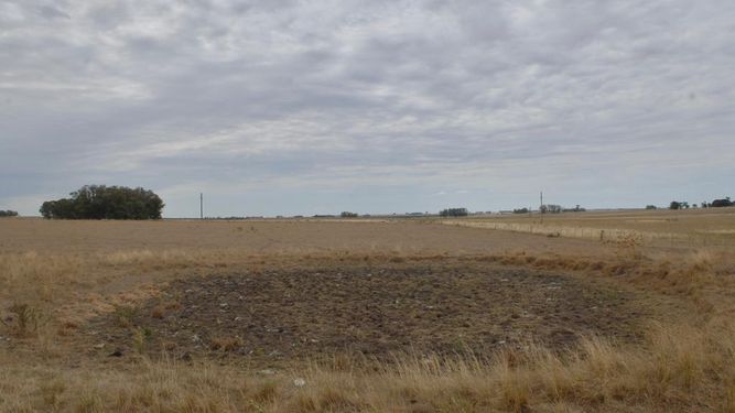 El Ministerio de Ganadería reunirá un comité especial para analizar situación del campo