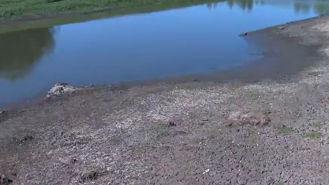 Anuncian medidas para garantizar agua potable en Lavalleja.