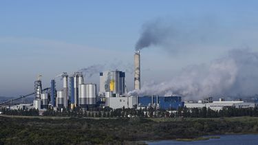 Intendencia de Río Negro pidió información a UPM por reiteradas denuncias de malos olores