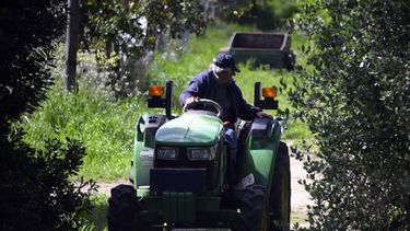 José Mujica por Óscar Bottinelli.