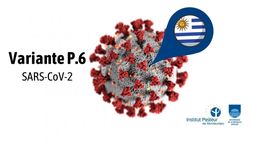 Científicos encontraron una variante uruguaya del COVID-19