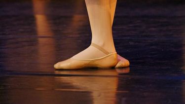 &nbsp;Director del ballet en Alemania agrede a periodista con heces de perro&nbsp;