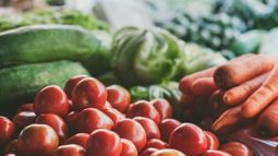 Nuevo plan de alimentación del Mides comienza en marzo.