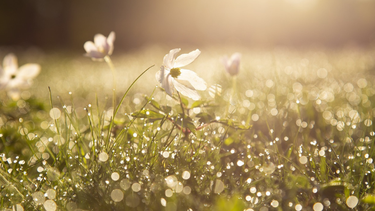 Lunes según Inumet.