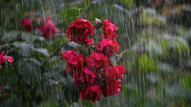 Inumet: pronóstico para este domingo 6 de agosto.