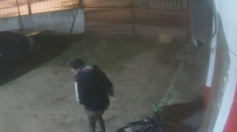 delivery baleado