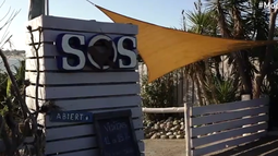 SOS Rescate de Fauna Marina en Punta Colorada.
