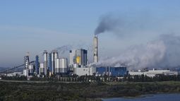 Intendencia de Río Negro pidió información a UPM por reiteradas denuncias de malos olores