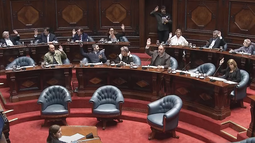 Cámara de Senadores votó por unanimidad desafuero de Penadés.