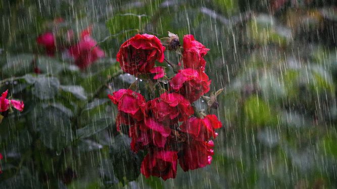 Inumet: pronóstico para este domingo 6 de agosto. Inumet: pronóstico para este domingo 6 de agosto.