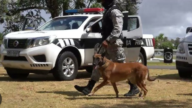 Se inauguró una nueva unidad de perros de la Policía en el departamento de Artigas