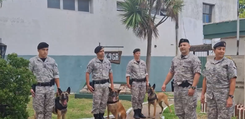 Tres perros de la Policía fueron retirados del servicio y adoptados por familias