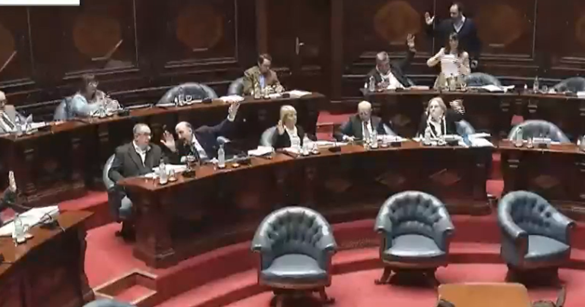Cámara de Senadores aprobó por unanimidad el proyecto de ley de ...