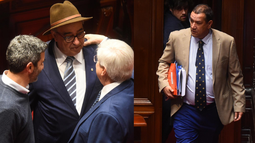 Interpelación a Fratti en el Senado.