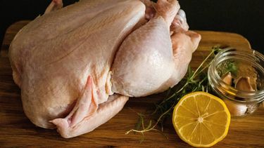 Productores avícolas señalan que baja en el precio del pollo no se traslada al consumidor final