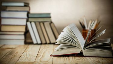 Día del Libro.&nbsp;