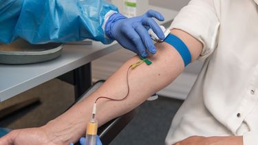 Uruguay necesita entre 350 y 400 bolsas de sangre por día