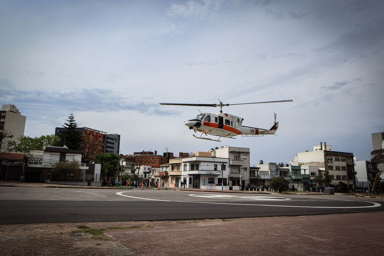 simulacro fau