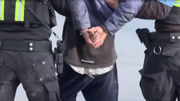 Detuvieron a un hombre de 19 años tras persecución por techos en Plácido Ellauri: estaba requerido por rapiña