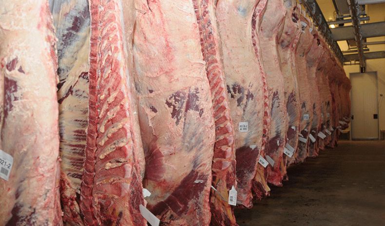 El 2021 terminará con récord de exportación de carne