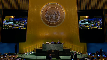 Asamblea General de la ONU.