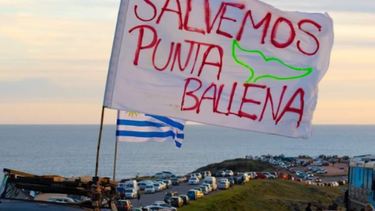 Vecinos de Maldonado alcanzaron firmas para declarar a Punta Ballena área de conservación o reserva natural
