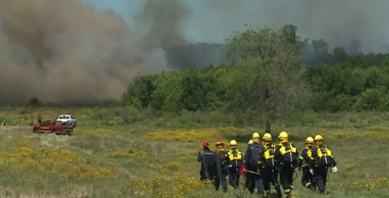 Varias hectáreas afectadas tras un incendio de campo en Pinar Norte