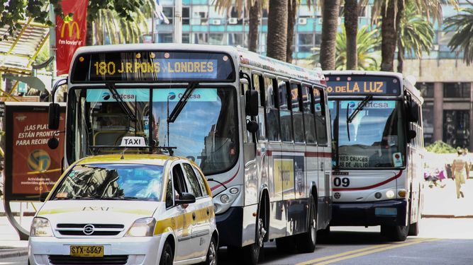 Así funcionará el transporte público durante Fin de Año y Año Nuevo en Montevideo