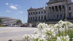 Parlamento analiza cambios de Rendición de Cuentas sobre certificaciones médicas