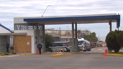 Trabajadores denuncian que fueron despedidos tras formar un sindicato en empresa de cannabis medicinal de Colonia