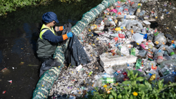 Intendencia de Montevideo hizo primera recolección de basura con biobardas.