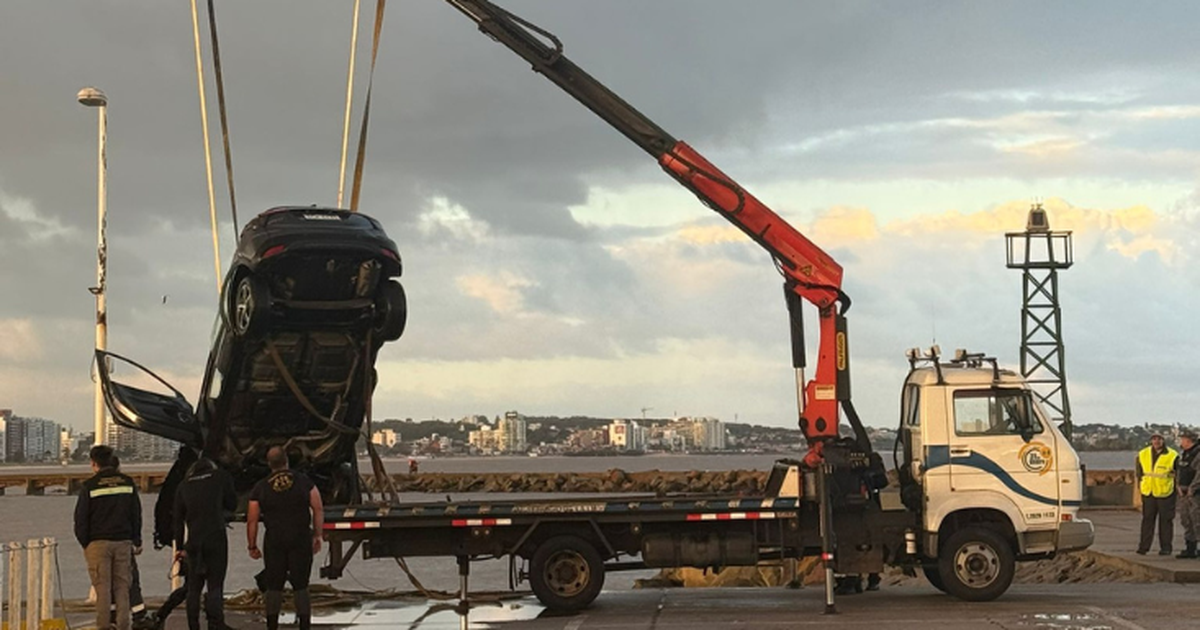 Rescate en el Puerto del Buceo: un fallecido y un perro hallado en la valija tras la caída de un auto al agua