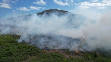 Incendio en la ladera norte del Cerro Pan De Azúcar ya está controlado.