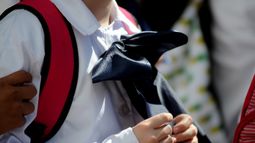 Gobierno extiende suspensión de clases presenciales