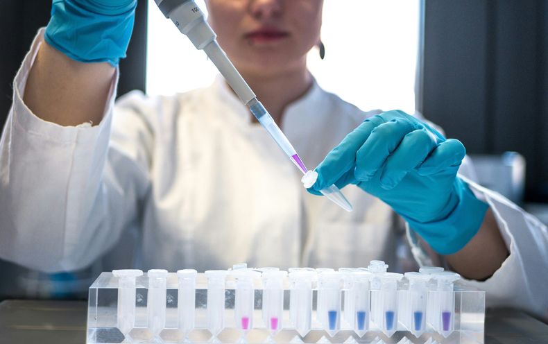 Uruguay cuenta con el único laboratorio de fagoterapia autorizado en América Latina