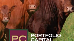 Fiscalía investiga a Alejandro Berrutti, director de Portfolio Capital, por presunta estafa piramidal