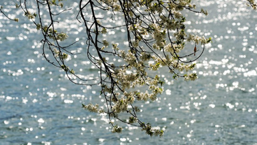 Lunes según Inumet.&nbsp;