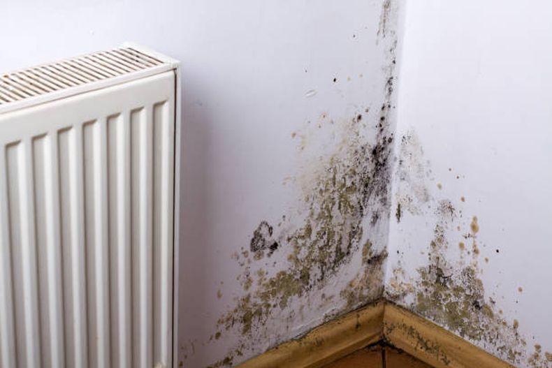 istockphoto-640095604-612x612.jpg