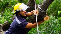 Los bomberos intervinieron en varios departamentos por el temporal