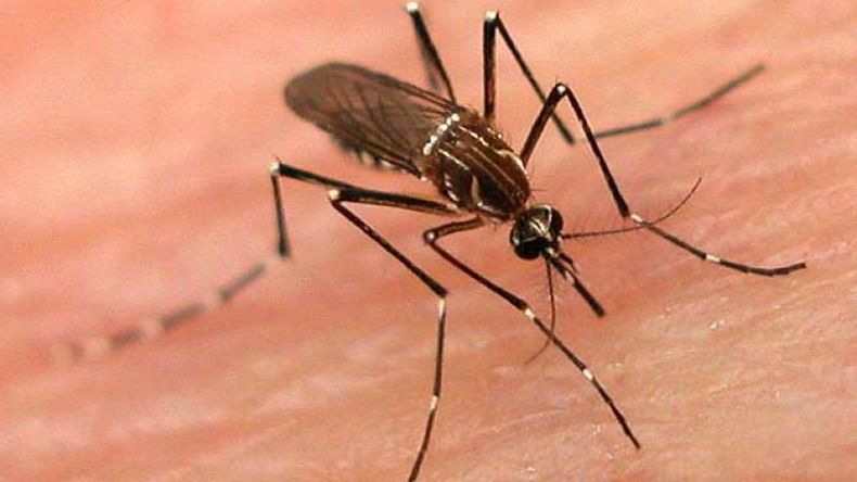 Brasil inicia vacunación contra dengue tras explosión de casos