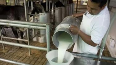 Trabajadores del sector lácteo anunciaron nuevas medidas