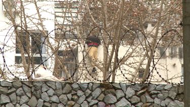Hombre se quiso tirar desde el séptimo piso de un edificio de Pocitos, pero fue rescatado por la Policía