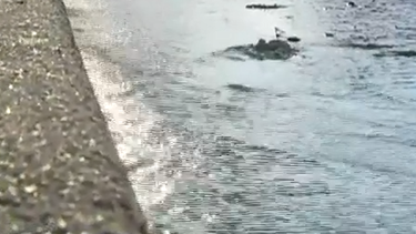 vecinos denuncian perdidas de agua desde hace mas de una semana en distintos barrios de montevideo