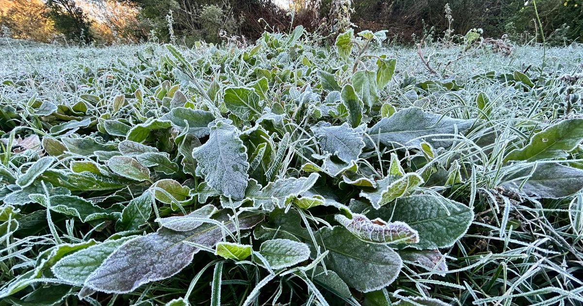 Martes con heladas en todo el país: mínimas bajo cero y rachas de viento de hasta 50 km/h