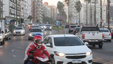 Vencimiento de Patente.