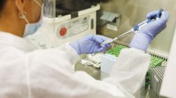 Inmunidad contra el COVID-19 puede ser superior a seis meses