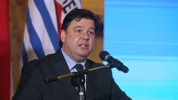 Peña descartó problemas internos entre colorados tras votación del préstamo del BID