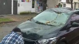 Un árbol cayó sobre un auto estacionado en La Blanqueada; su dueño se había bajado minutos antes
